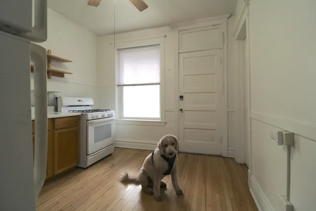 a kitchen with a refrigerator and windows