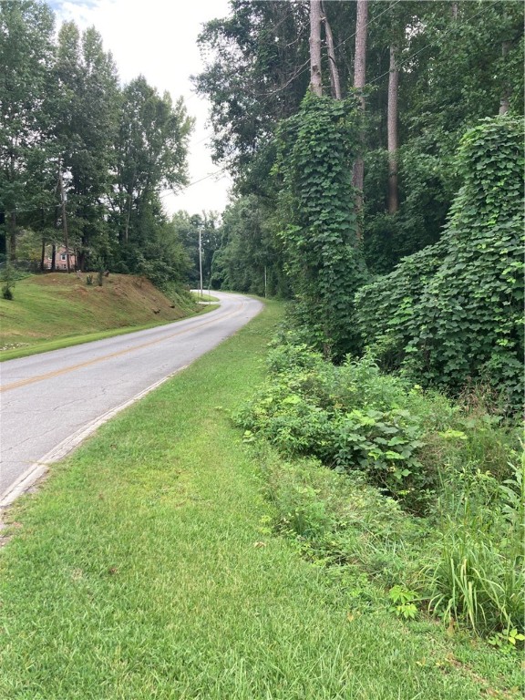 0 Simpson Street Gaston, SC 29053 - Photo 3 of 4