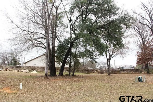 a view of a yard with trees