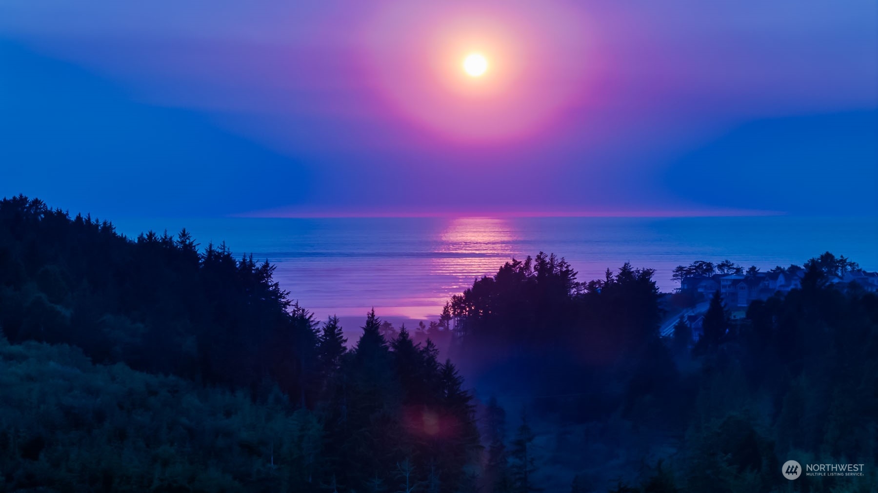 54 Cedar Run Loop Pacific Beach, WA 98571 - Photo 22 of 22