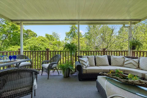 a view of a big yard with plants and a tree