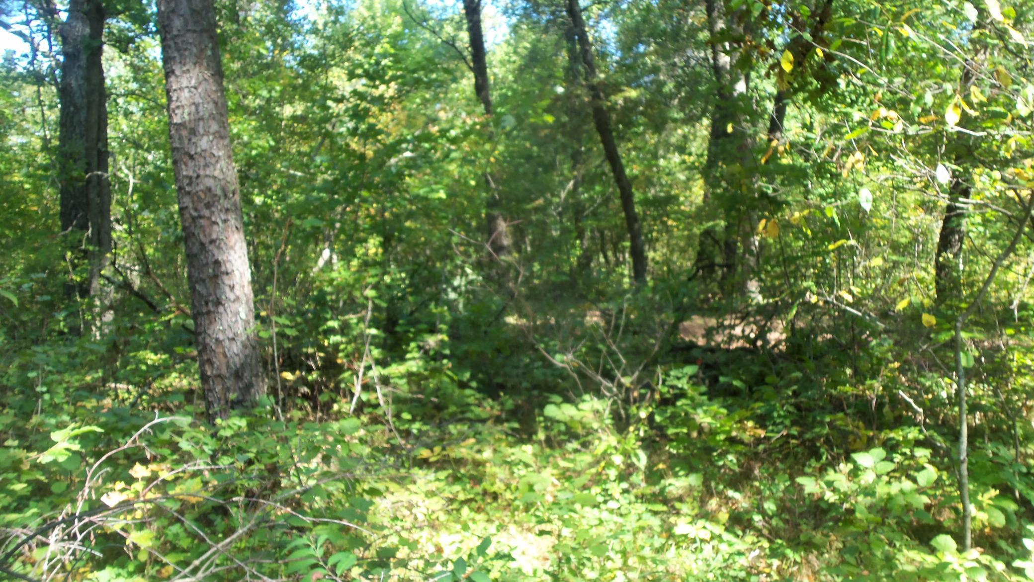 Lot 4 East River Road Grantsburg, WI 54840 - Photo 6 of 17