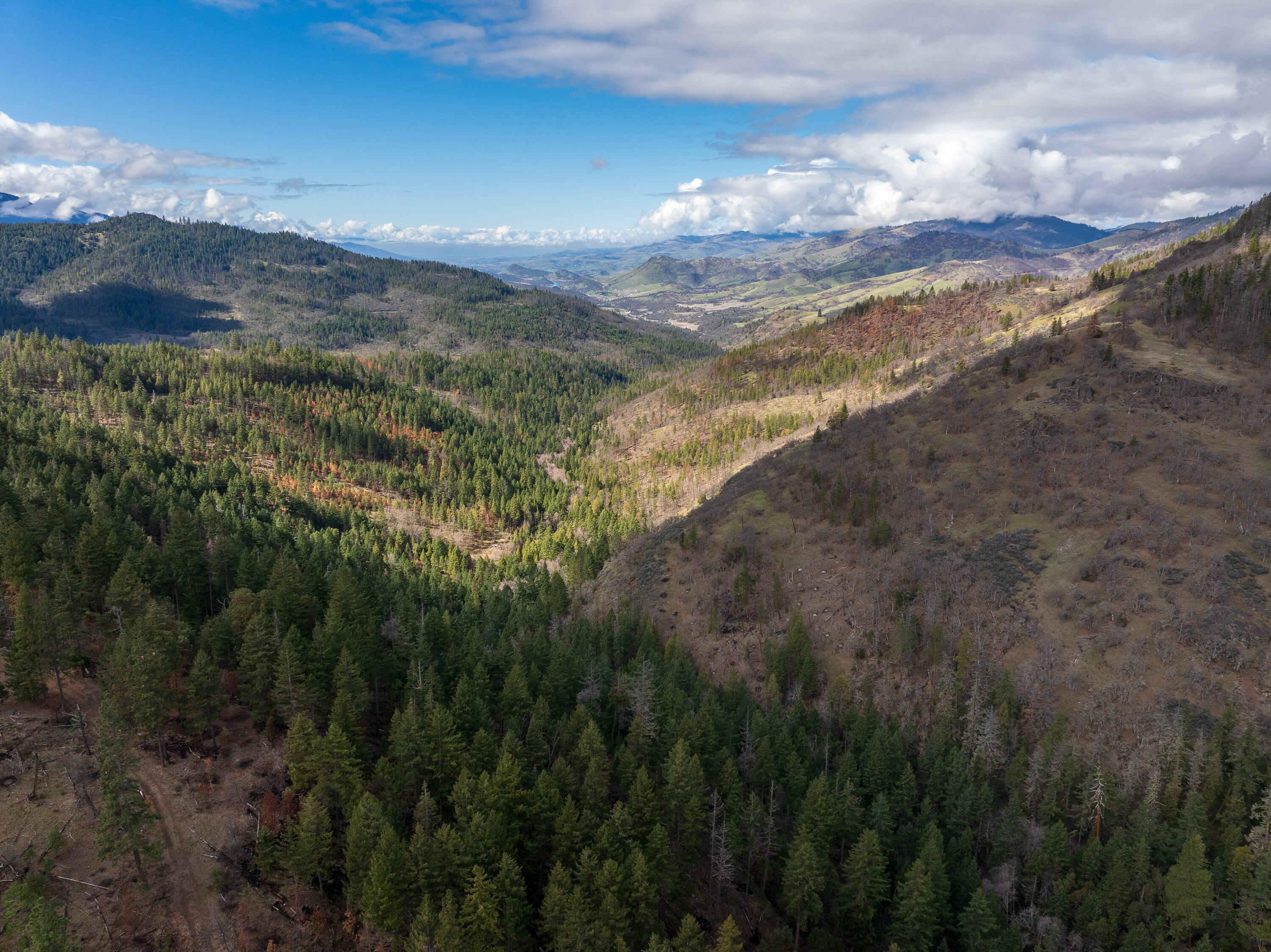 2829 Buckhorn Springs Road Ashland, OR 97520 - Photo 34 of 44 033