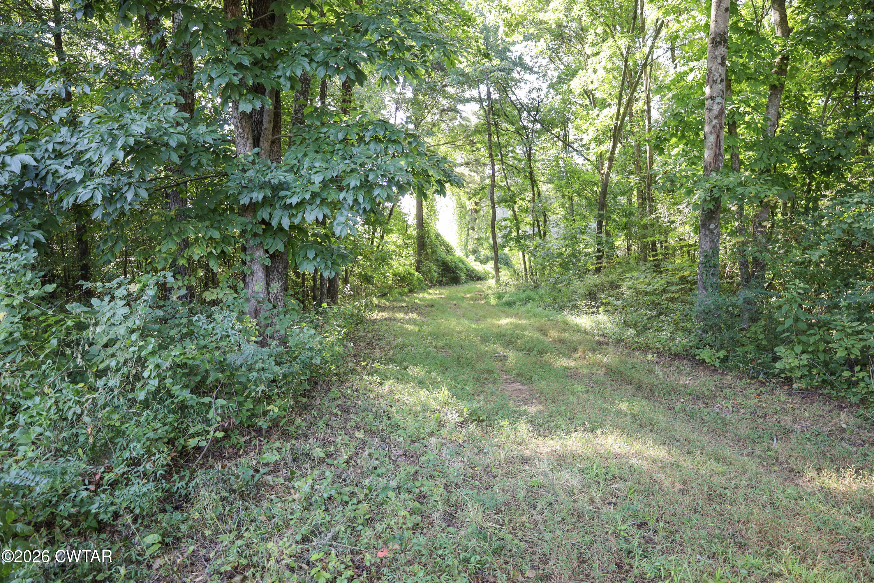 0 Betty Manley Road Jackson, TN 38301 - Photo 20 of 46 10-IMG_4913