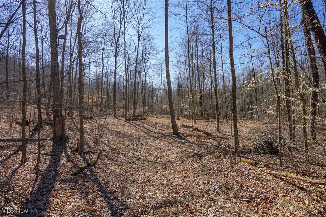 Cooks Hill Road Glenford, OH 43739 - Photo 17 of 46 View of landscape with a forest view