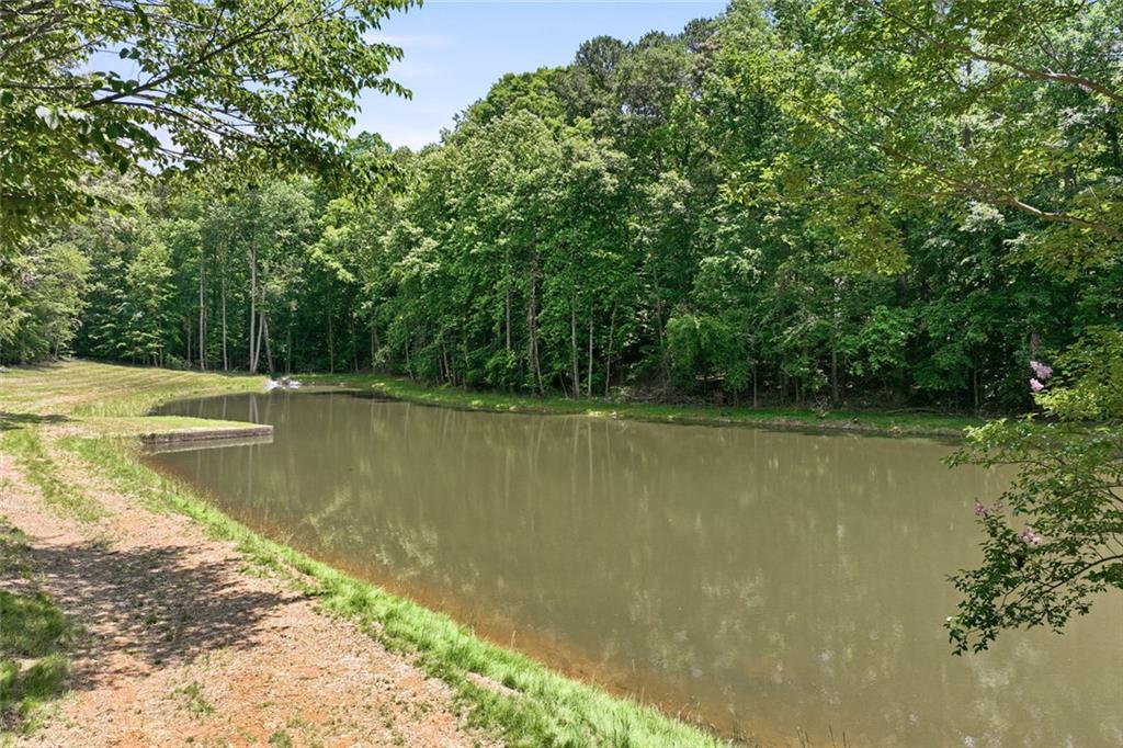 3735 Smithtown Road Suwanee, GA 30024 - Photo 11 of 29