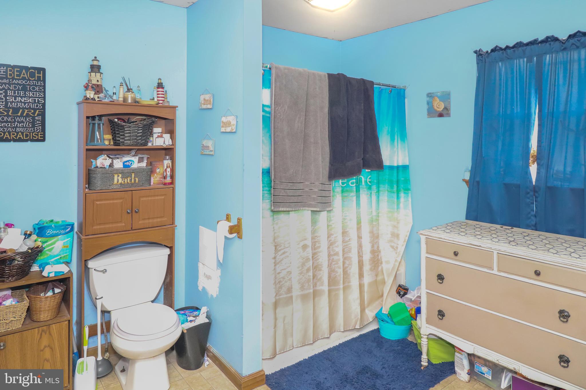 132 Natures Road Pine Grove, PA 17963 - Photo 14 of 31 Master Bath