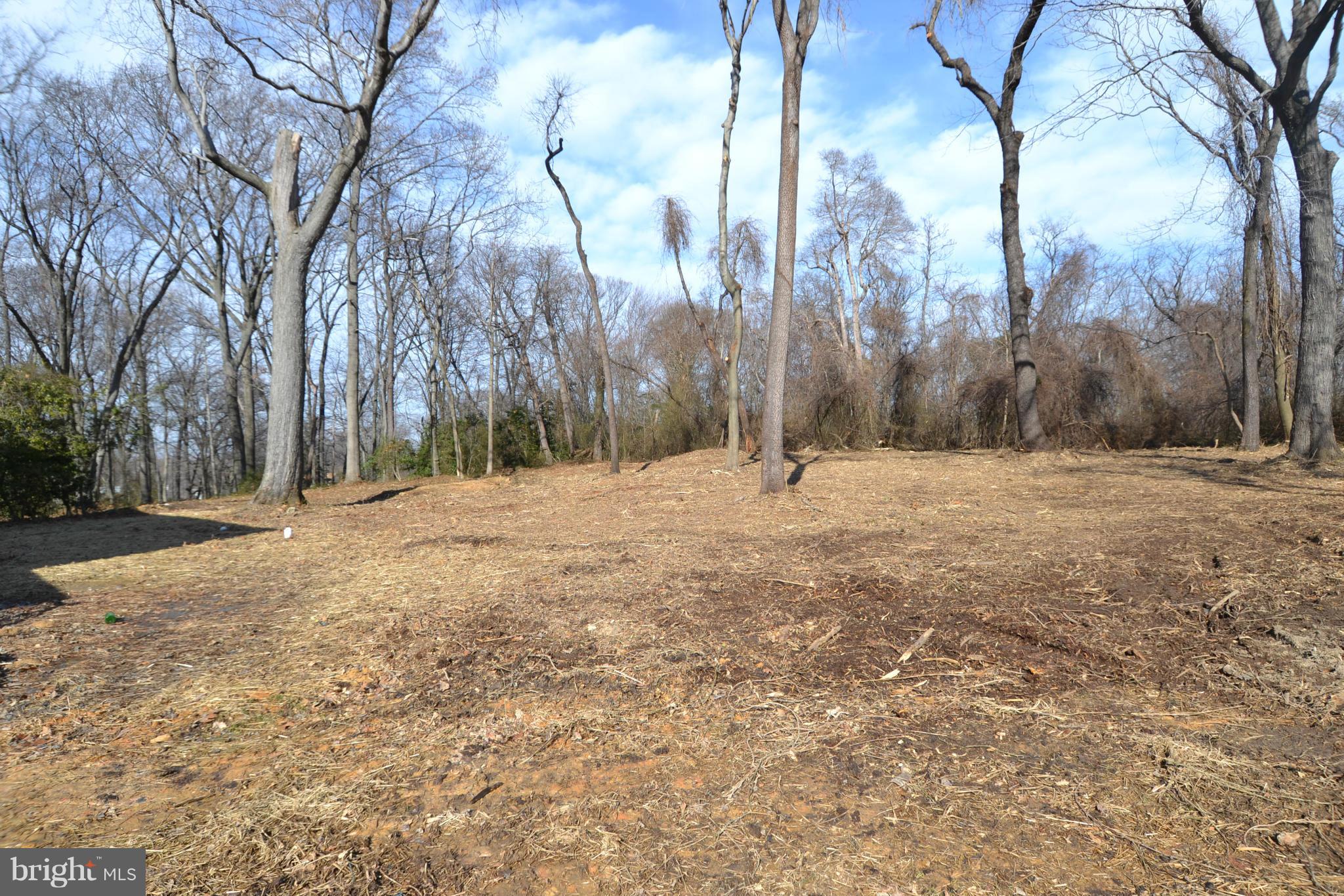 9125 Fort Smallwood Road Pasadena, MD 21122 - Photo 25 of 28 Backyard