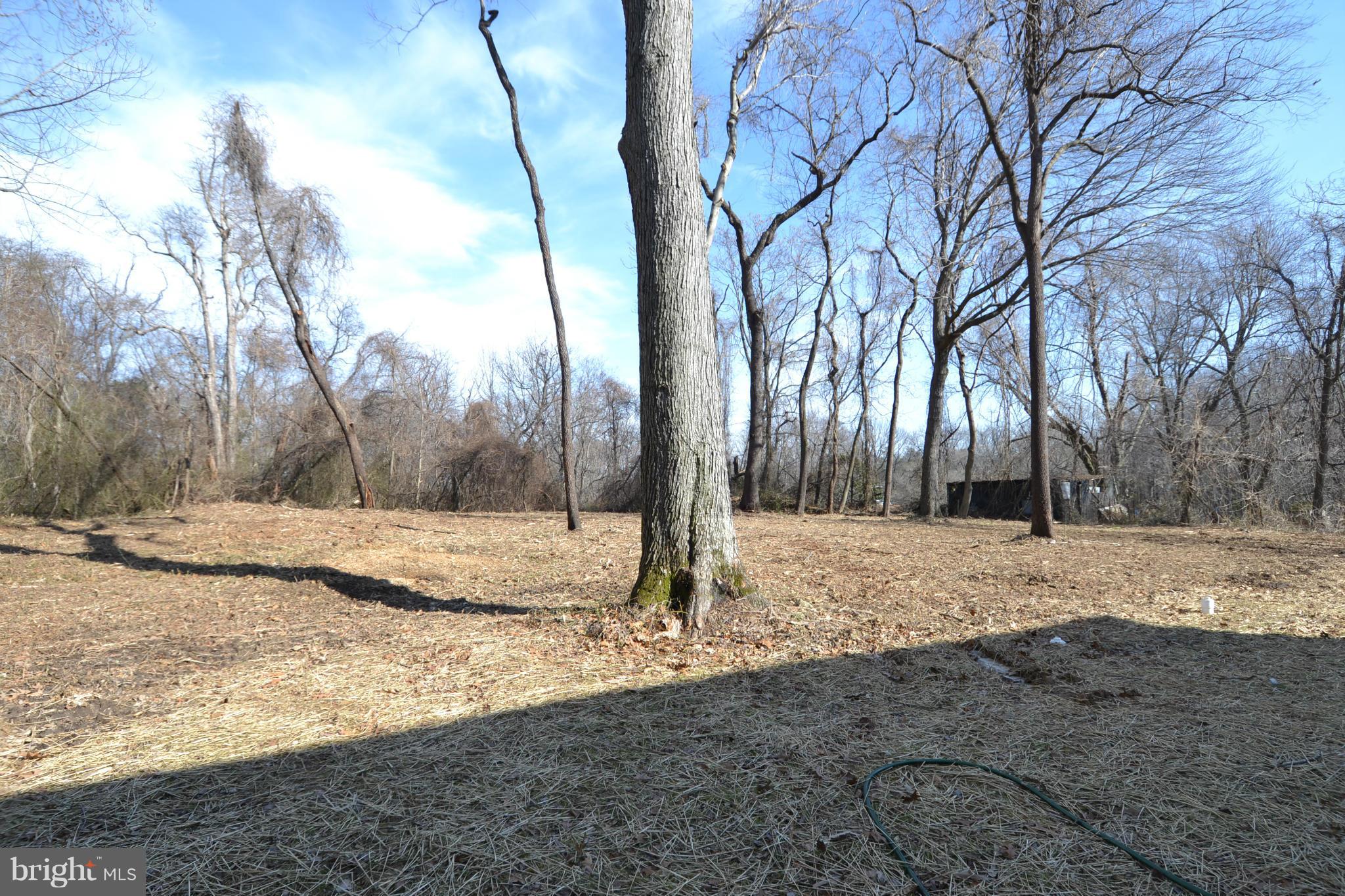 9125 Fort Smallwood Road Pasadena, MD 21122 - Photo 26 of 28 Backyard