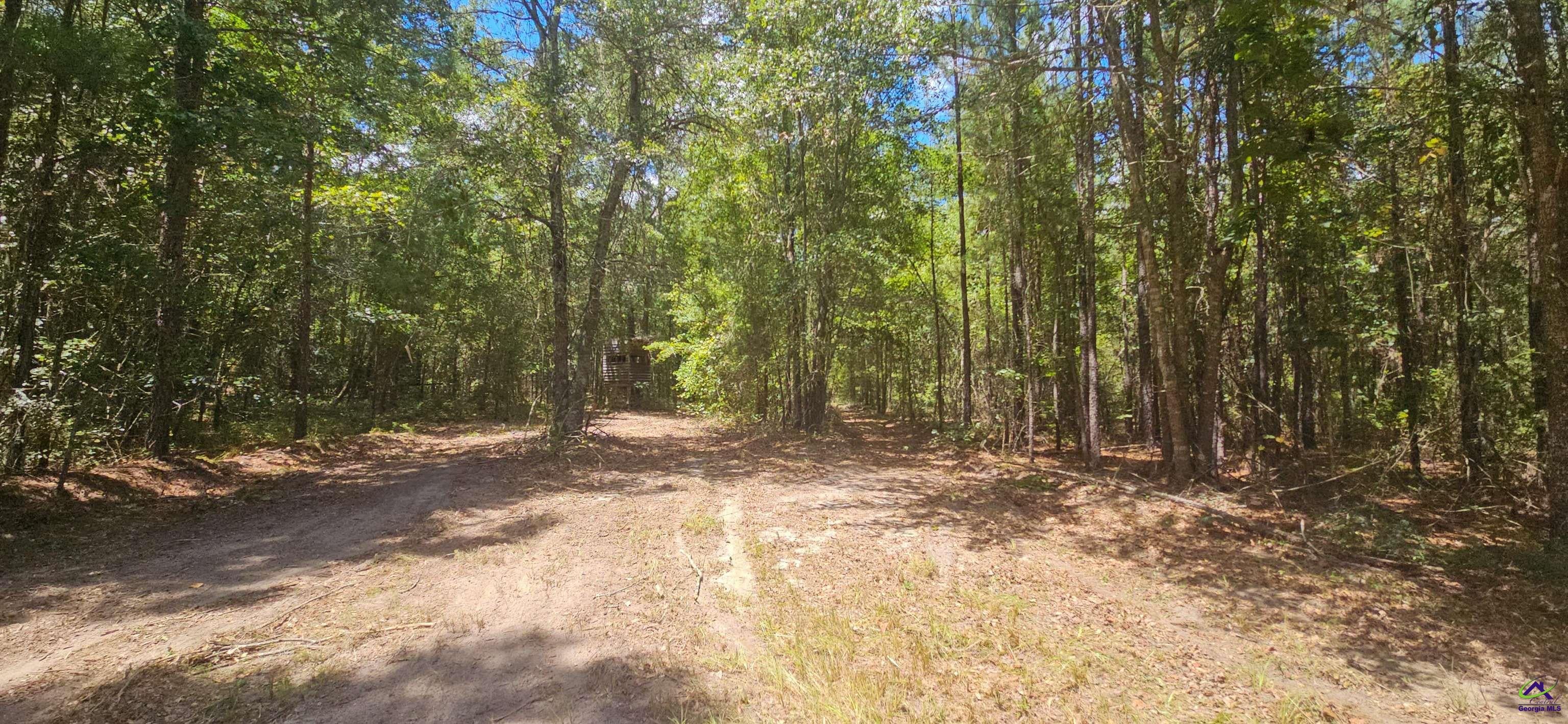 0 Priest Road Vienna, GA 31092 - Photo 20 of 26 Gallery Image 20