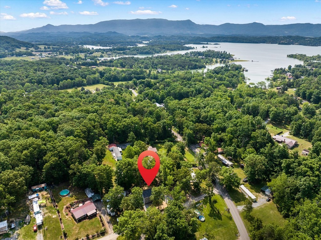 2108 Cox Road Dandridge, TN 37725 - Photo 19 of 29