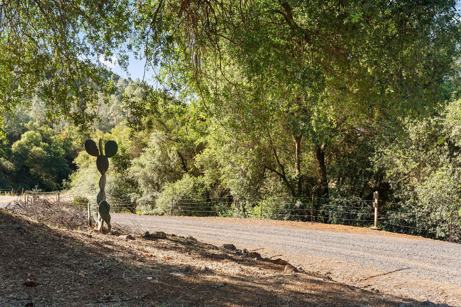 1484 Oregon Gulch Road Oroville, CA 95965 - Photo 46 of 78