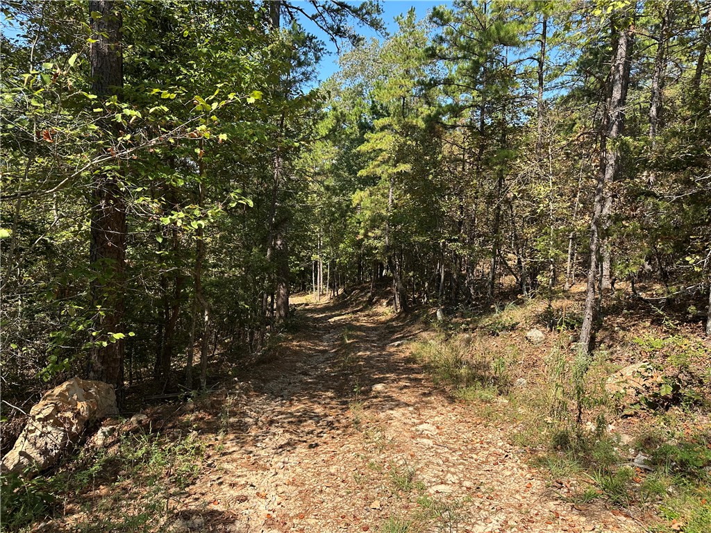 Cane Branch Western Grove, AR 72685 - Photo 2 of 6 Gallery Image 2