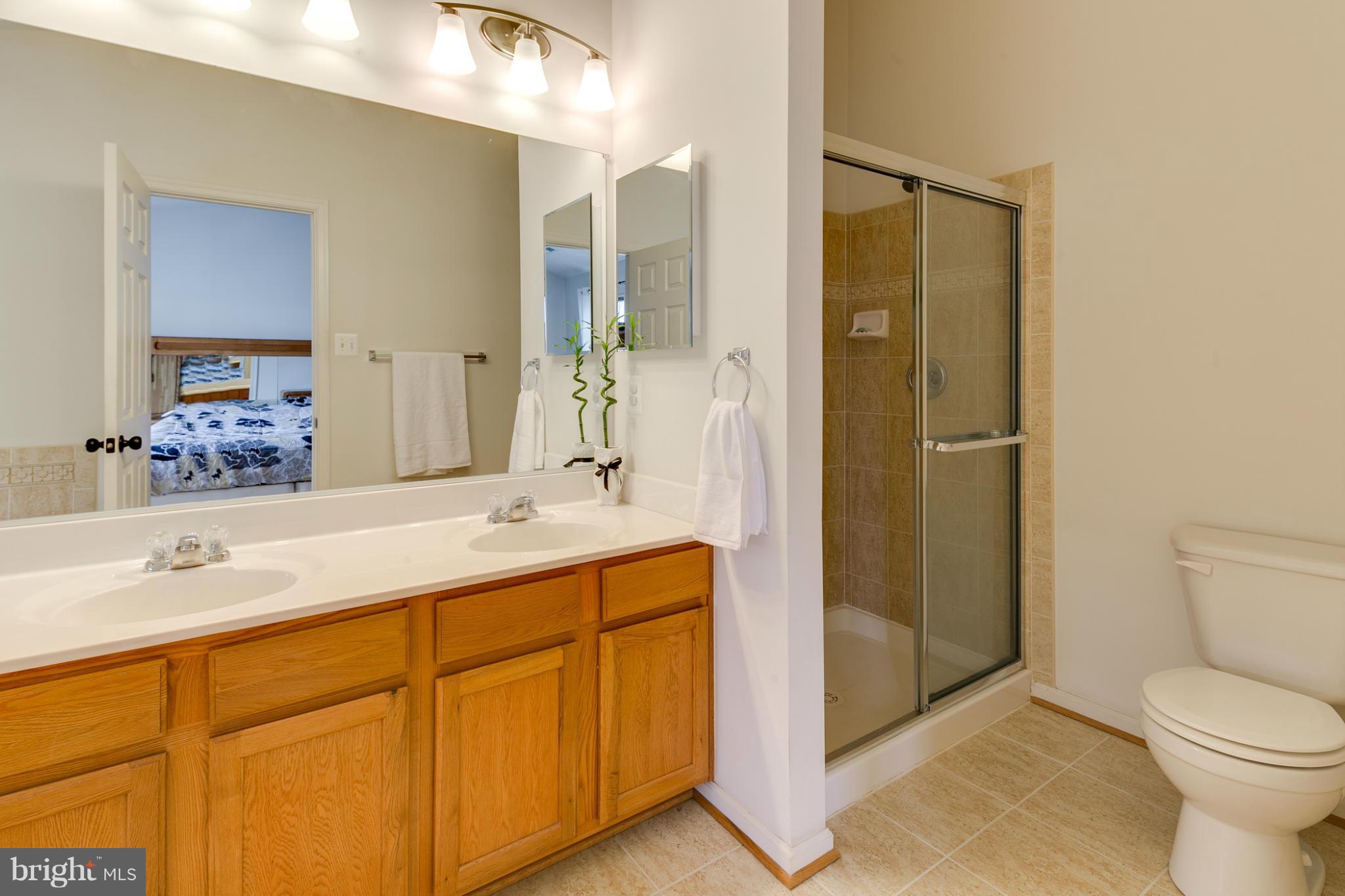 9718 Biggs Road Baltimore, MD 21220 - Photo 19 of 28 Bath (Master)