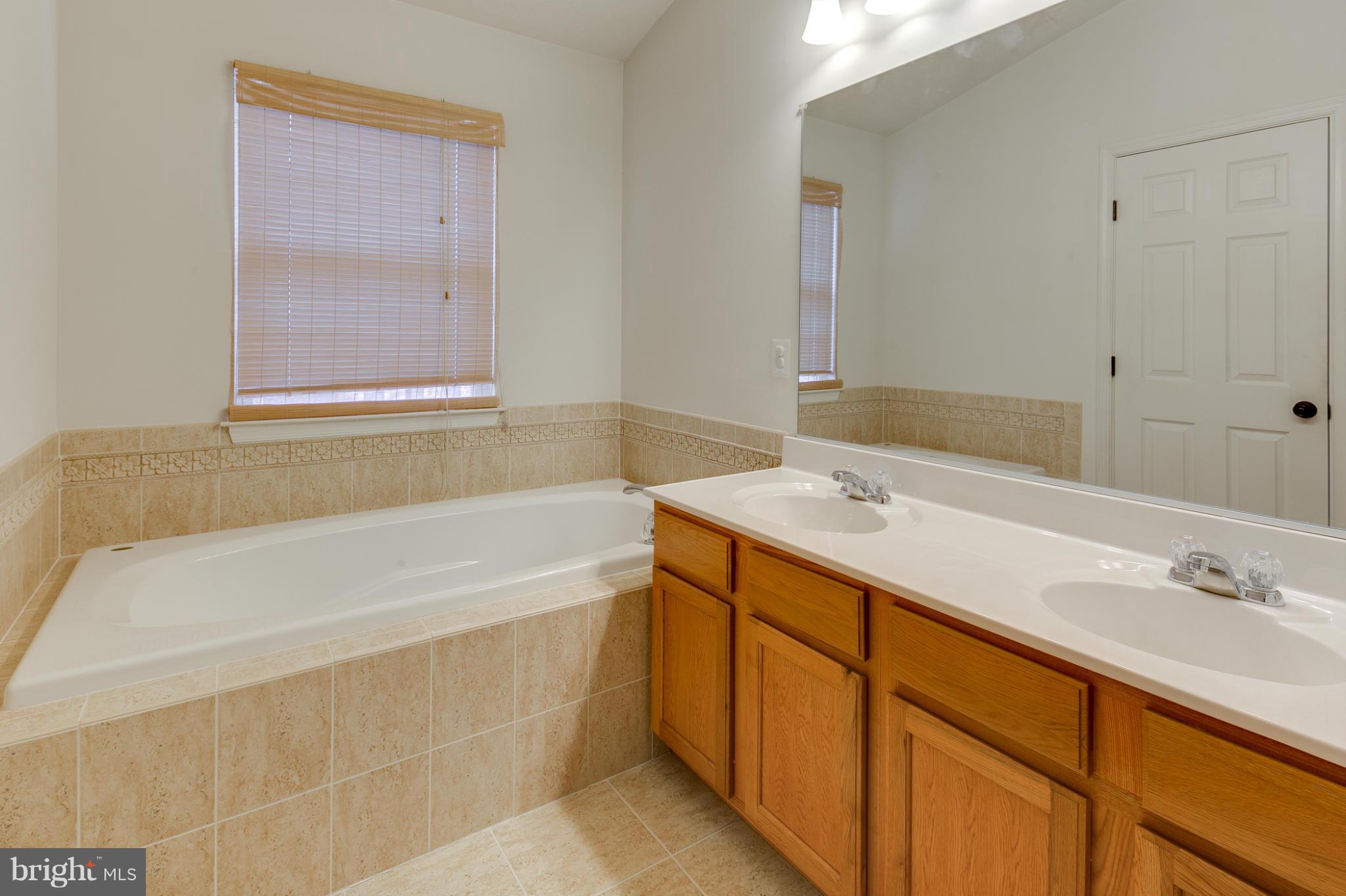 9718 Biggs Road Baltimore, MD 21220 - Photo 20 of 28 Bath (Master)