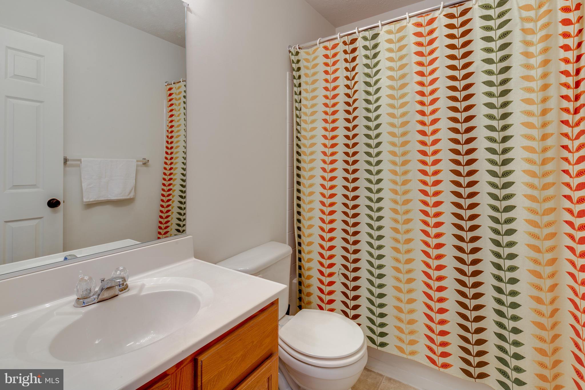 9718 Biggs Road Baltimore, MD 21220 - Photo 23 of 28 Bath