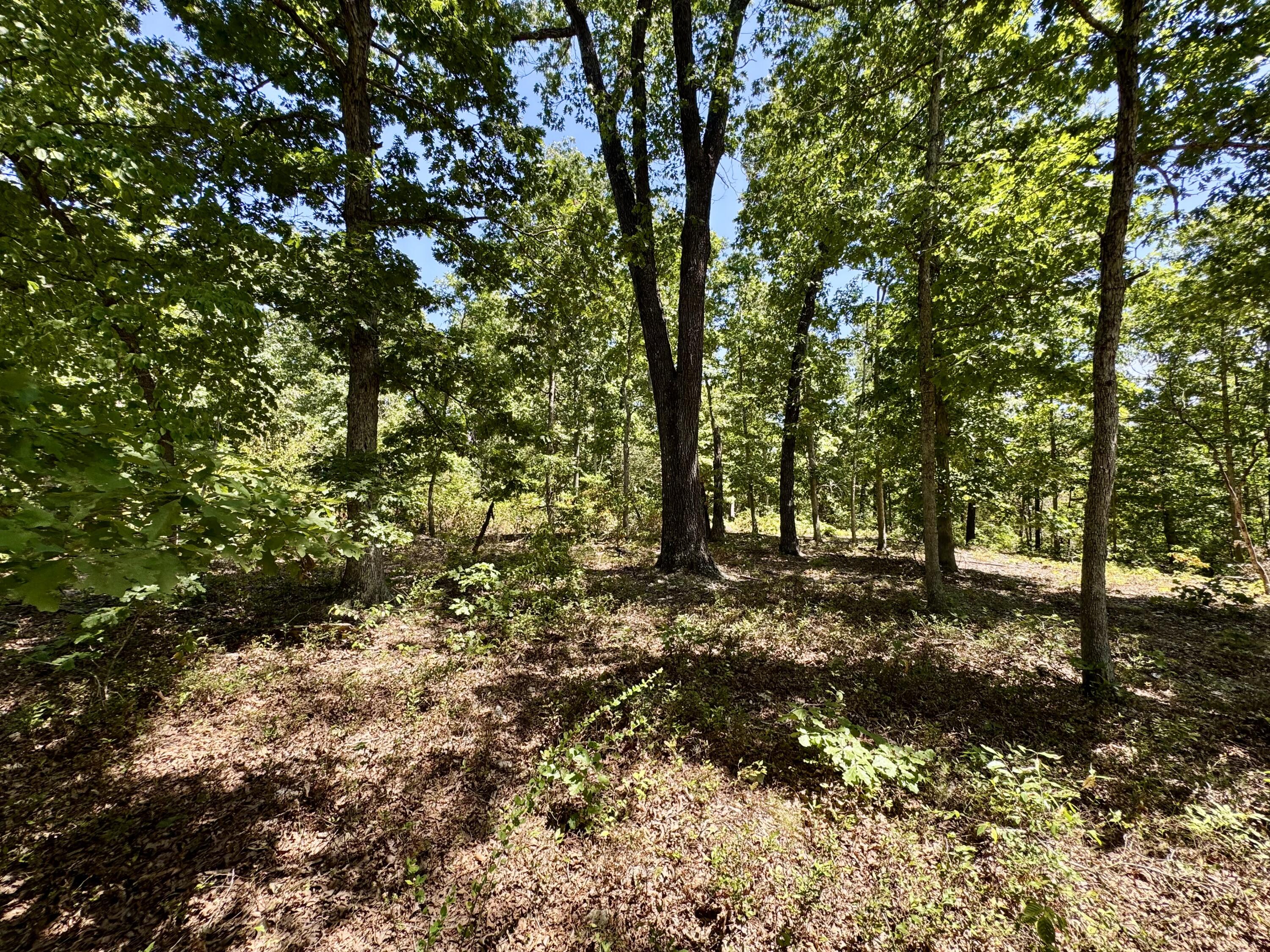 2059/2099 Allison Road Anderson, MO 64831 - Photo 28 of 40 34 (4)