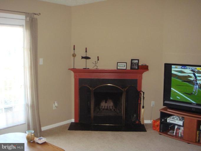 6470 Greenfield Road, Unit 1107 Elkridge, MD 21075 - Photo 3 of 7 Fireplace