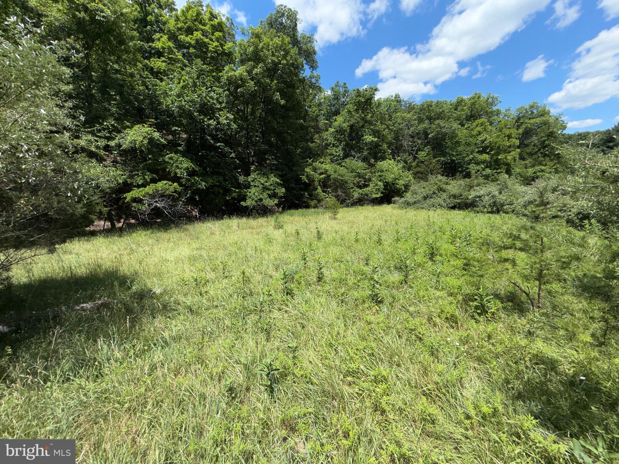 511 Chickadee Road Purgitsville, WV 26852 - Photo 32 of 99