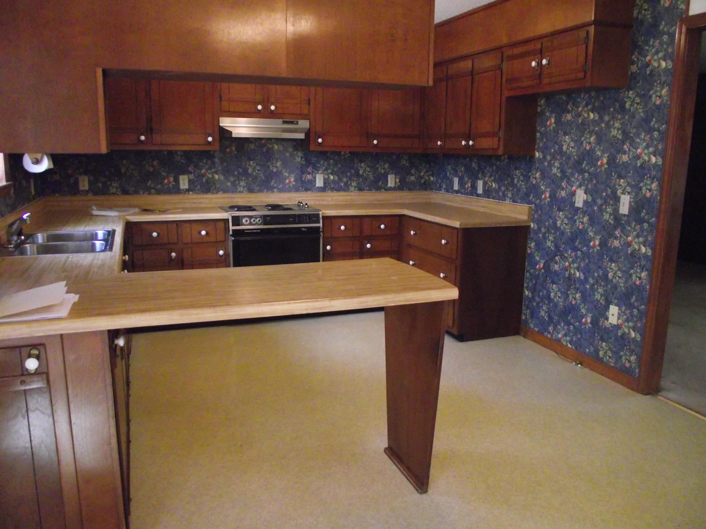 445 Cave Road Jasper, TN 37347 - Photo 6 of 20 Kitchen (2)