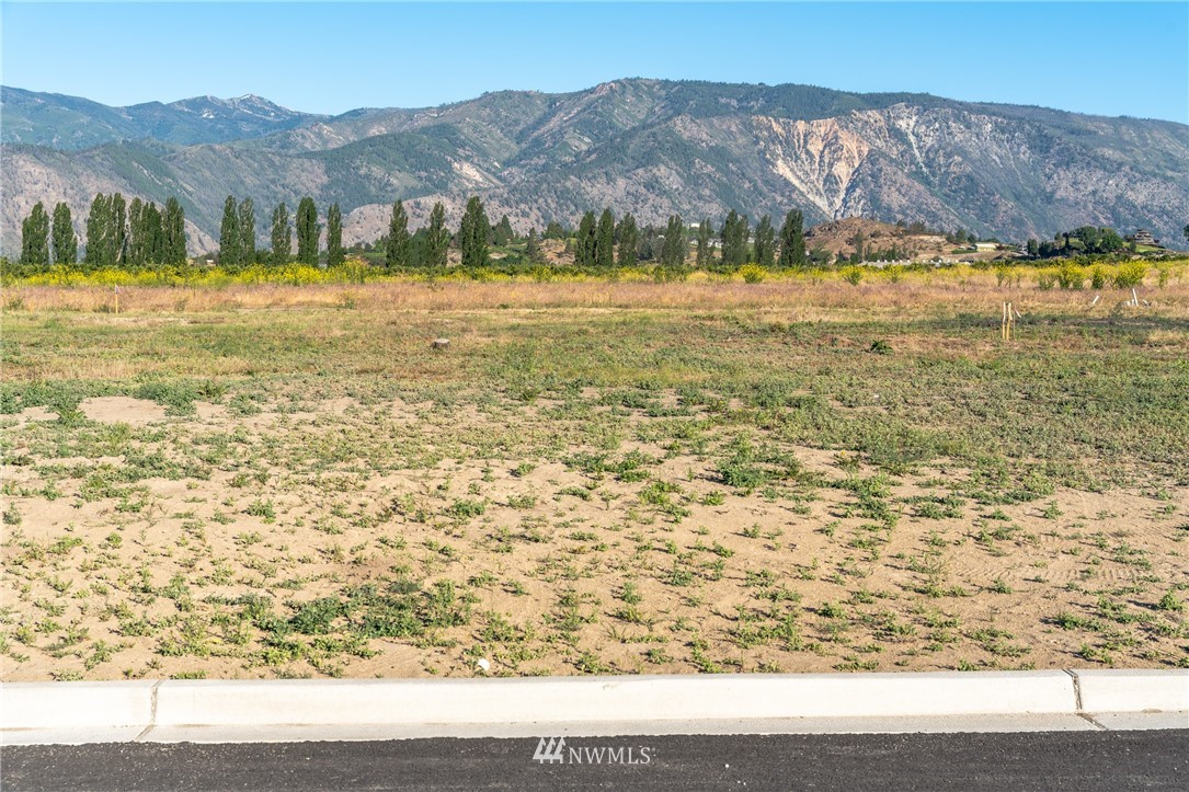 0 Abe Lane, Unit 8 Manson, WA 98831 - Photo 3 of 14 Gallery Image 3