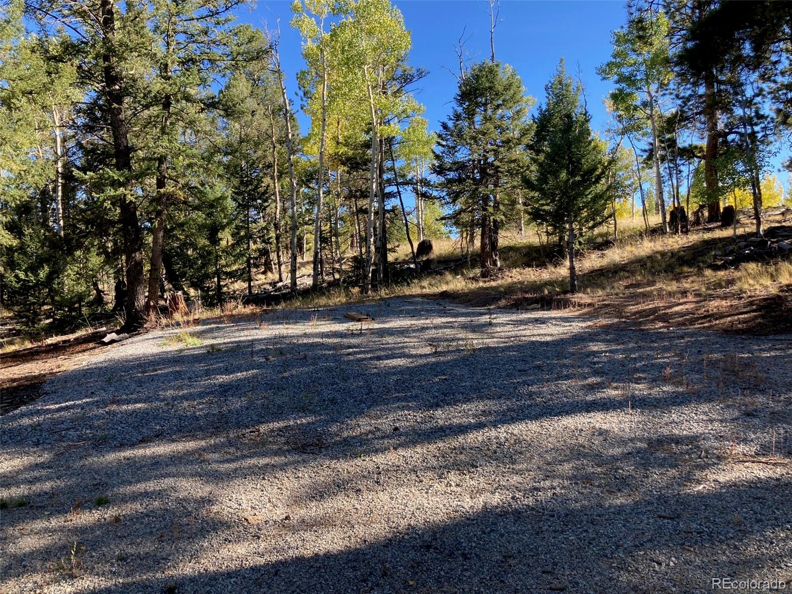 1714 Blacksmith Road Hartsel, CO 80449 - Photo 1 of 13