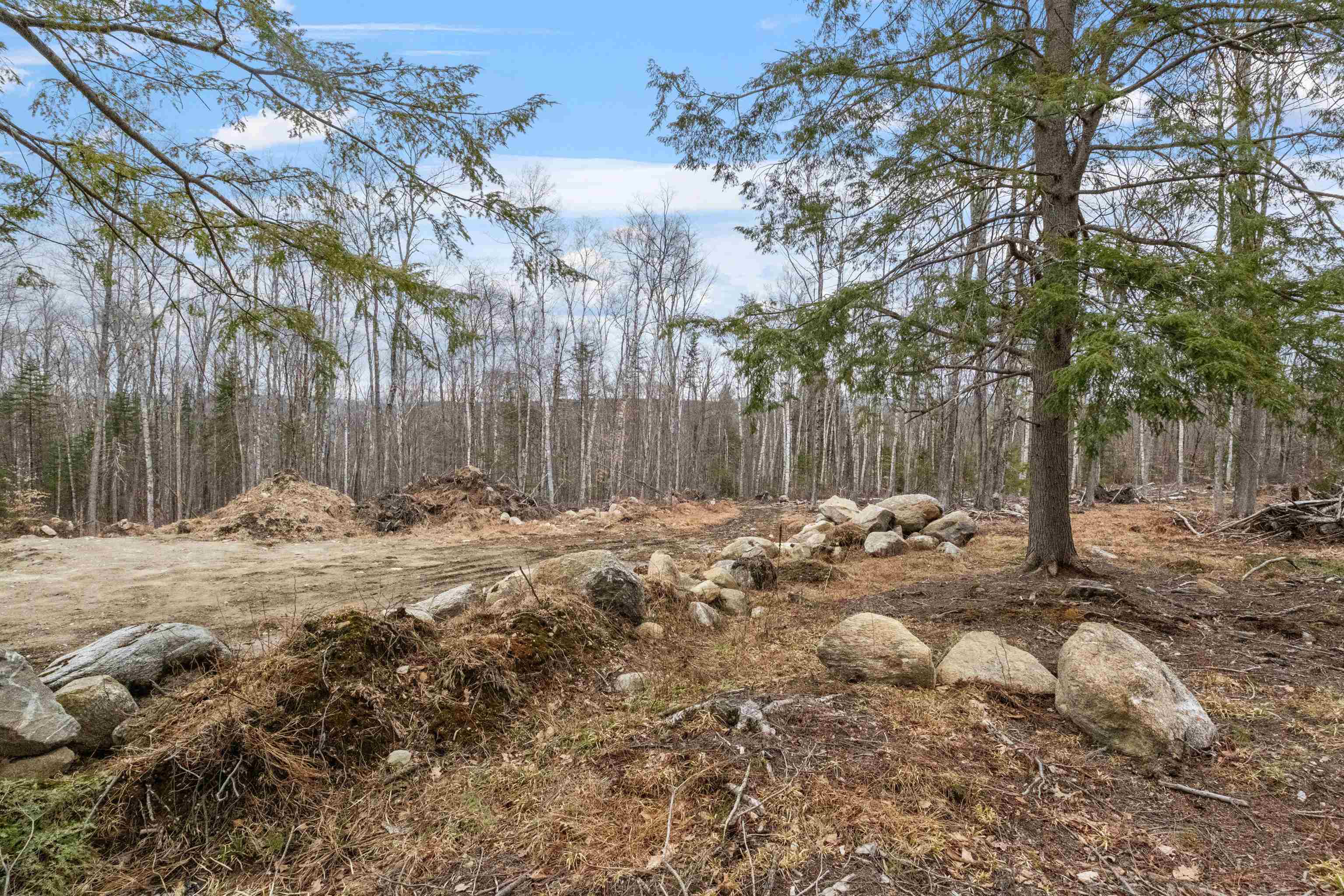 151 Woodland Heights Springfield, NH 03284 - Photo 4 of 22