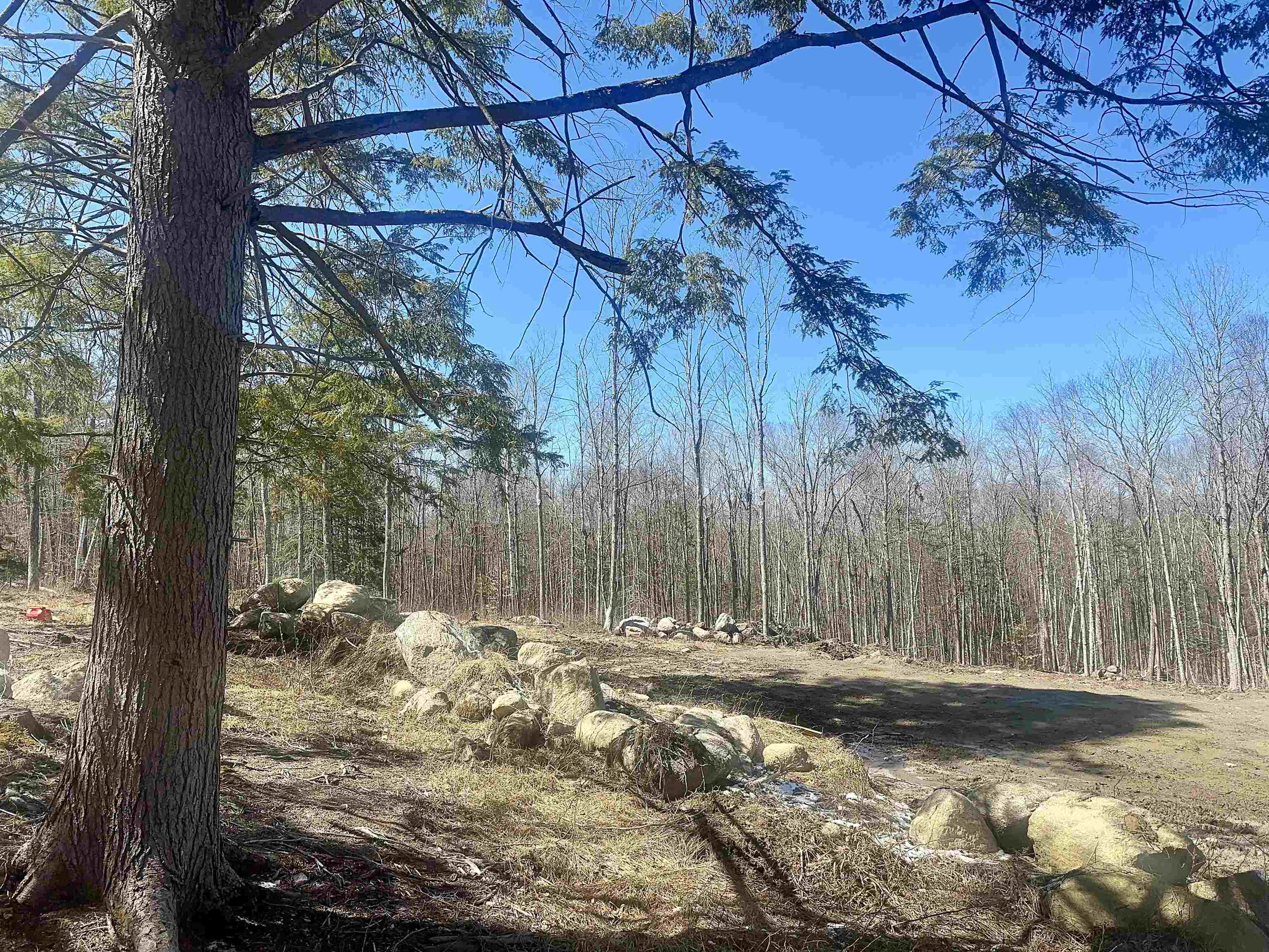 151 Woodland Heights Springfield, NH 03284 - Photo 5 of 22