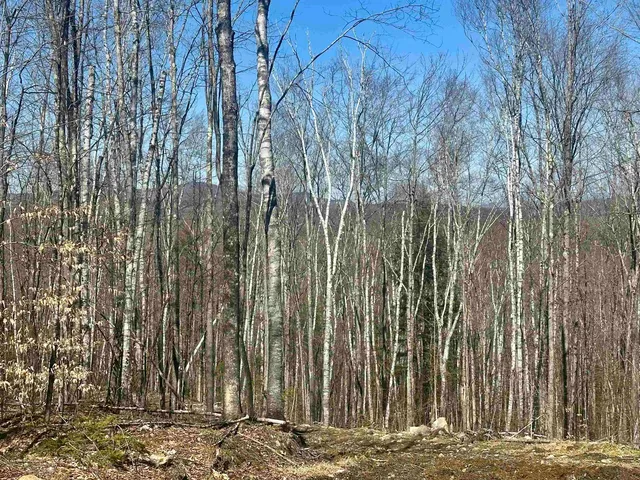 $329,000 | 151 Woodland Heights, Springfield, NH 03284