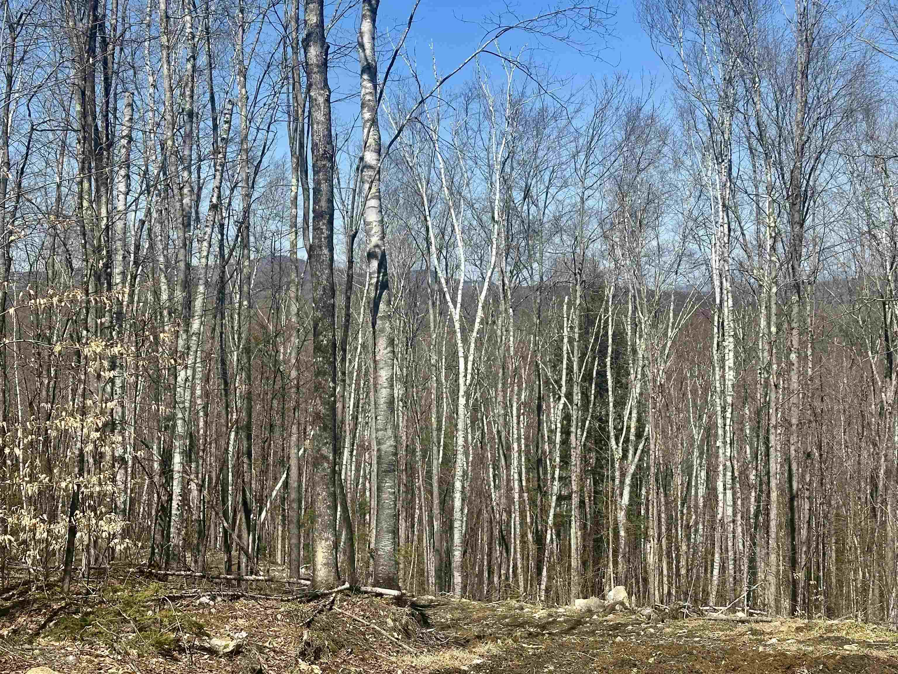 151 Woodland Heights Springfield, NH 03284 - Photo 7 of 22