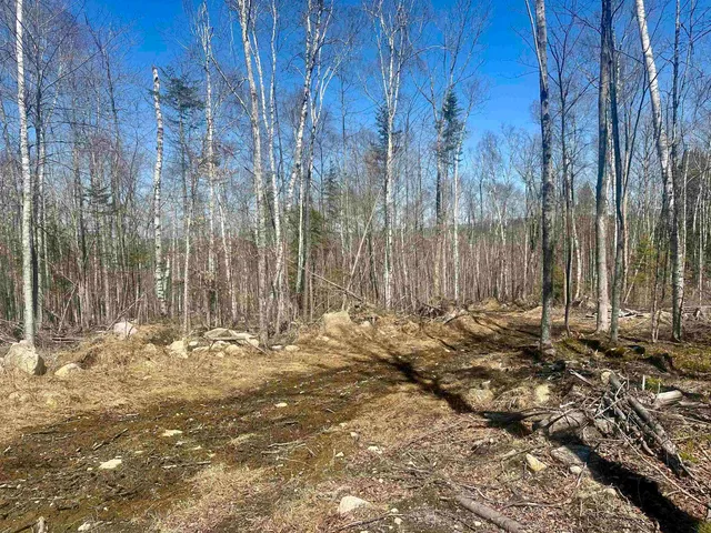 $329,000 | 151 Woodland Heights, Springfield, NH 03284