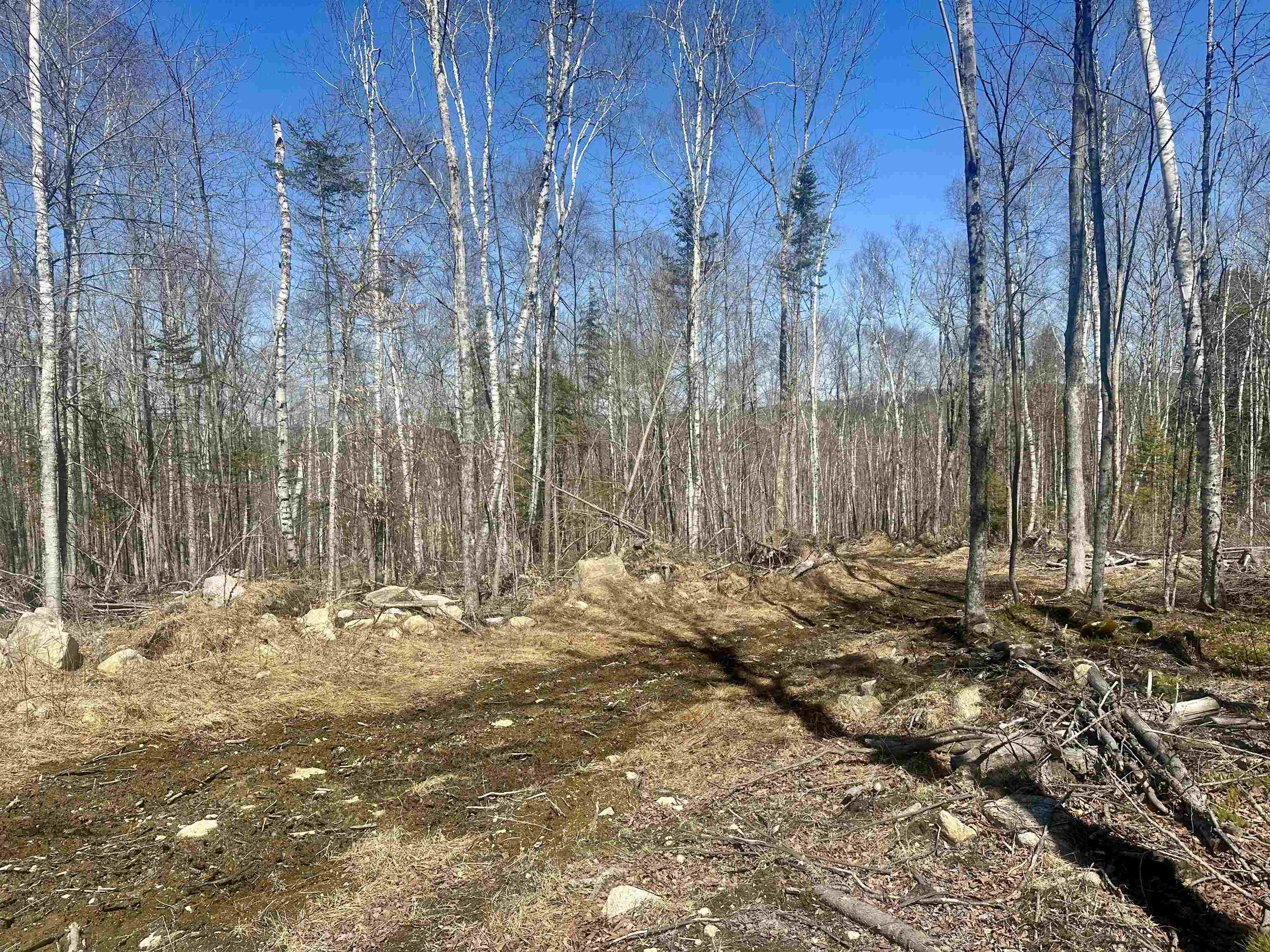 151 Woodland Heights Springfield, NH 03284 - Photo 8 of 22