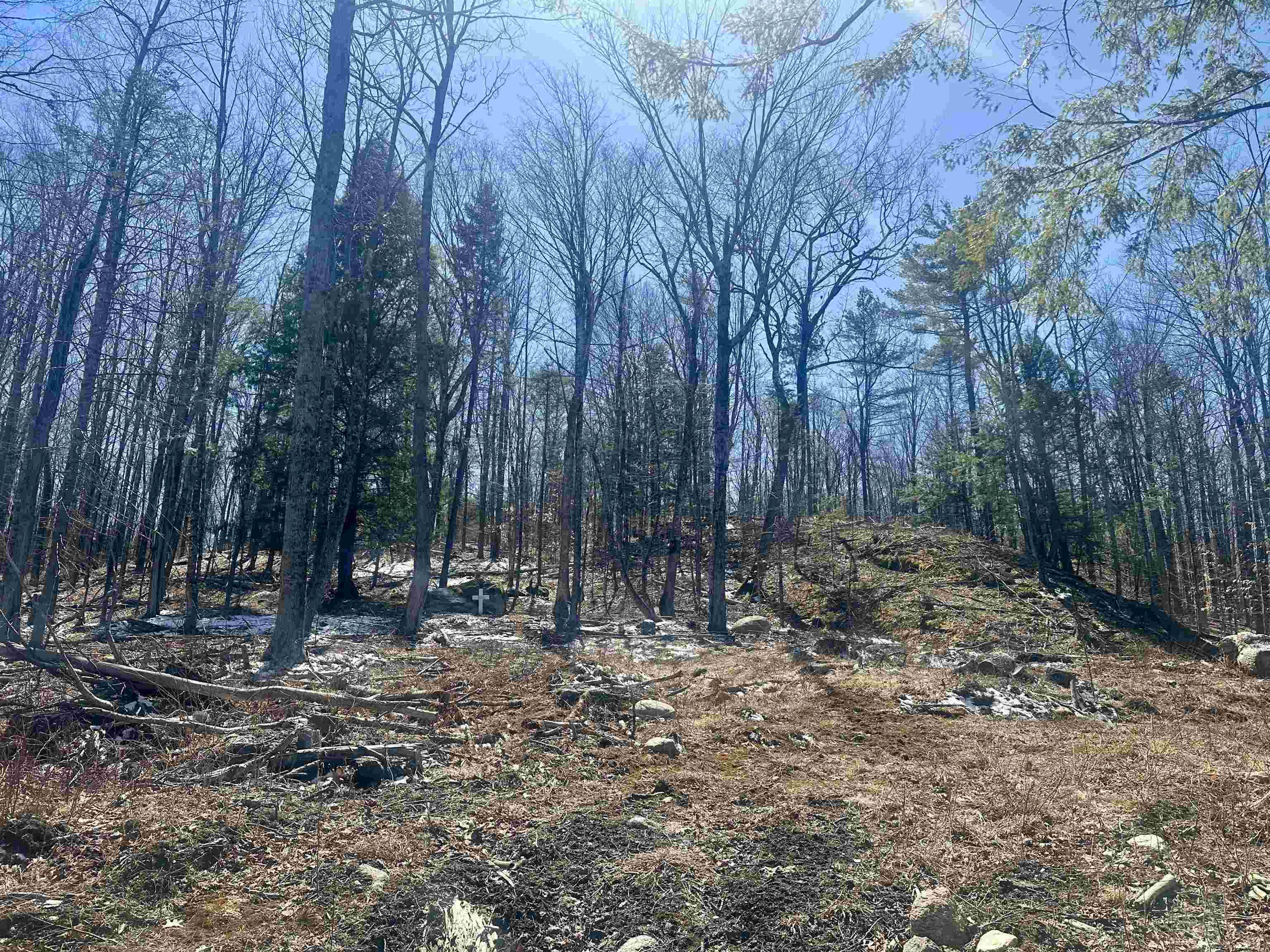 151 Woodland Heights Springfield, NH 03284 - Photo 10 of 22