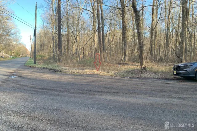 a view of backyard with green space