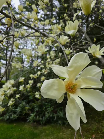 $850,000 | 208 Youngs Point Road, Wiscasset, ME 04578