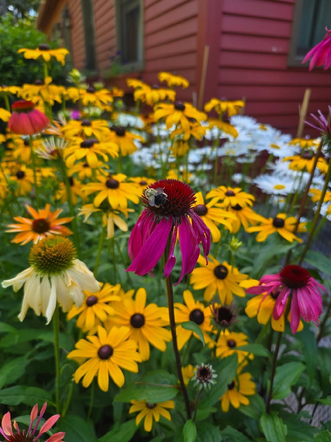 208 Youngs Point Road Wiscasset, ME 04578 - Photo 74 of 75 image000000