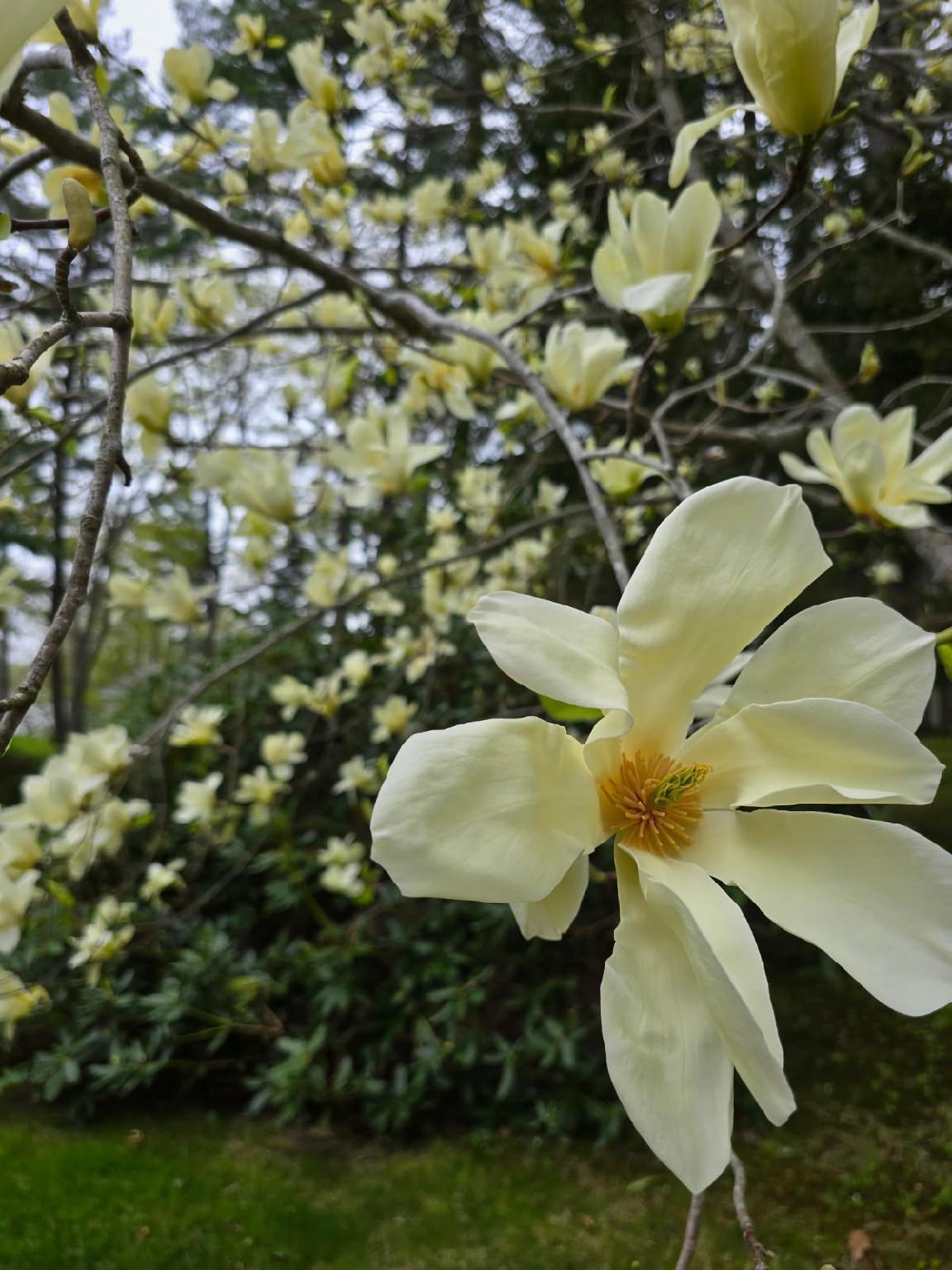 208 Youngs Point Road Wiscasset, ME 04578 - Photo 75 of 75 image000000