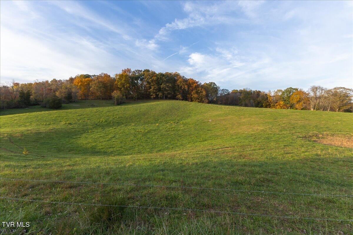 Tbd Clicktown Road, Unit TR1 Church Hill, TN 37642 - Photo 12 of 23 12-128A4844