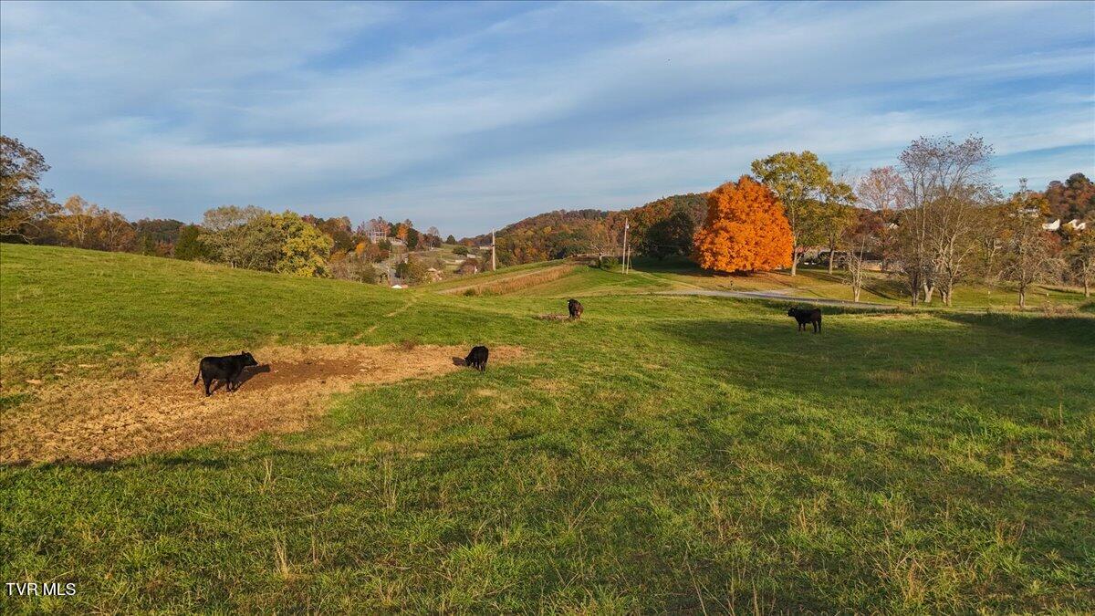 Tbd Clicktown Road, Unit TR1 Church Hill, TN 37642 - Photo 16 of 23 16-DJI_20241028174131_0554_D