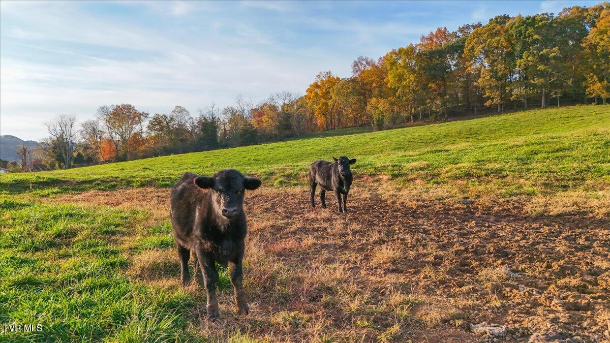 Tbd Clicktown Road, Unit TR1 Church Hill, TN 37642 - Photo 17 of 23 17-DJI_20241028174146_0555_D