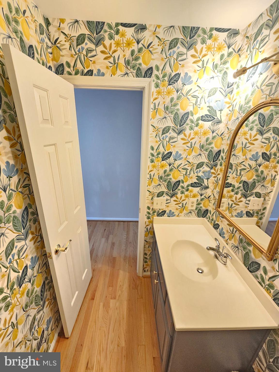 11321 Classical Lane Silver Spring, MD 20901 - Photo 25 of 66 a bathroom with a sink and a mirror