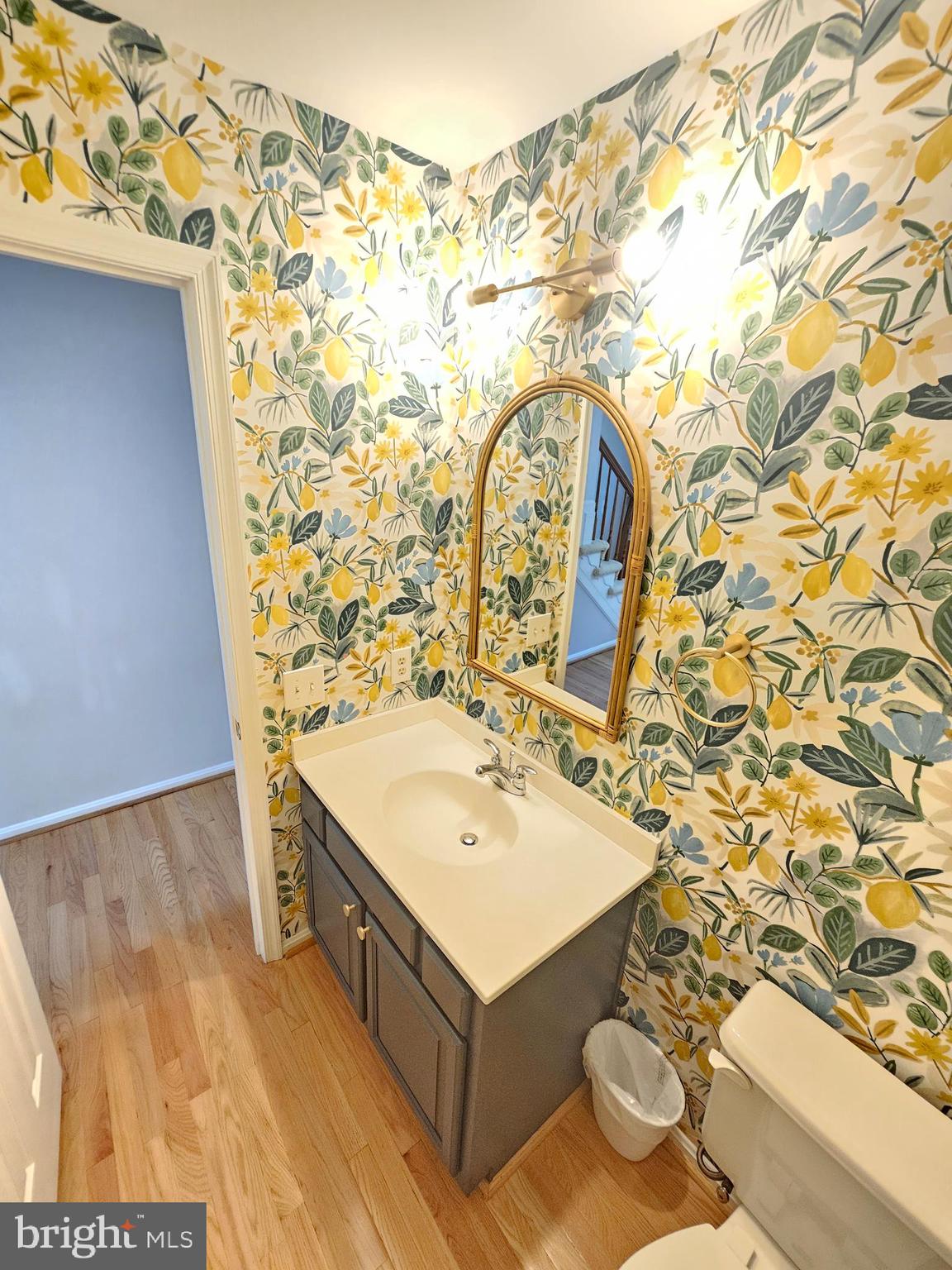 11321 Classical Lane Silver Spring, MD 20901 - Photo 26 of 66 a bathroom with a sink and a mirror