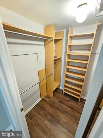 a view of a large tree in front of a house