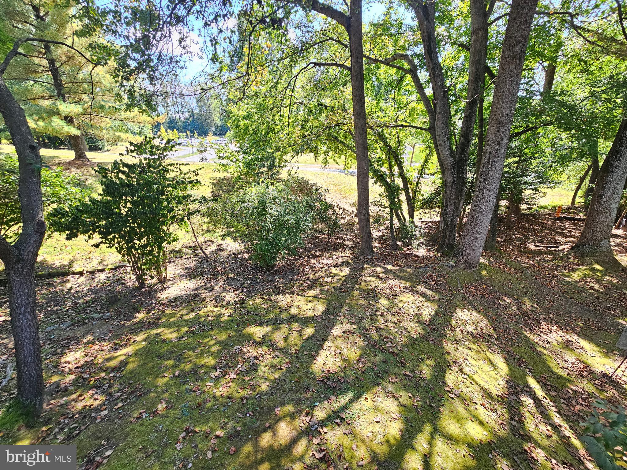11321 Classical Lane Silver Spring, MD 20901 - Photo 58 of 66 a backyard of a house with large trees and plants