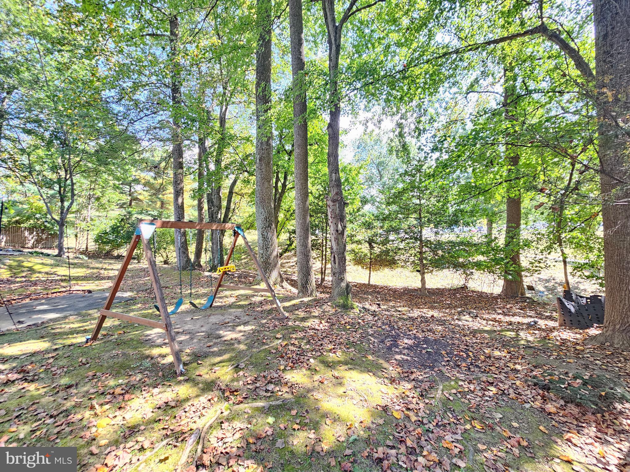 11321 Classical Lane Silver Spring, MD 20901 - Photo 63 of 66 a view of a yard with a tree