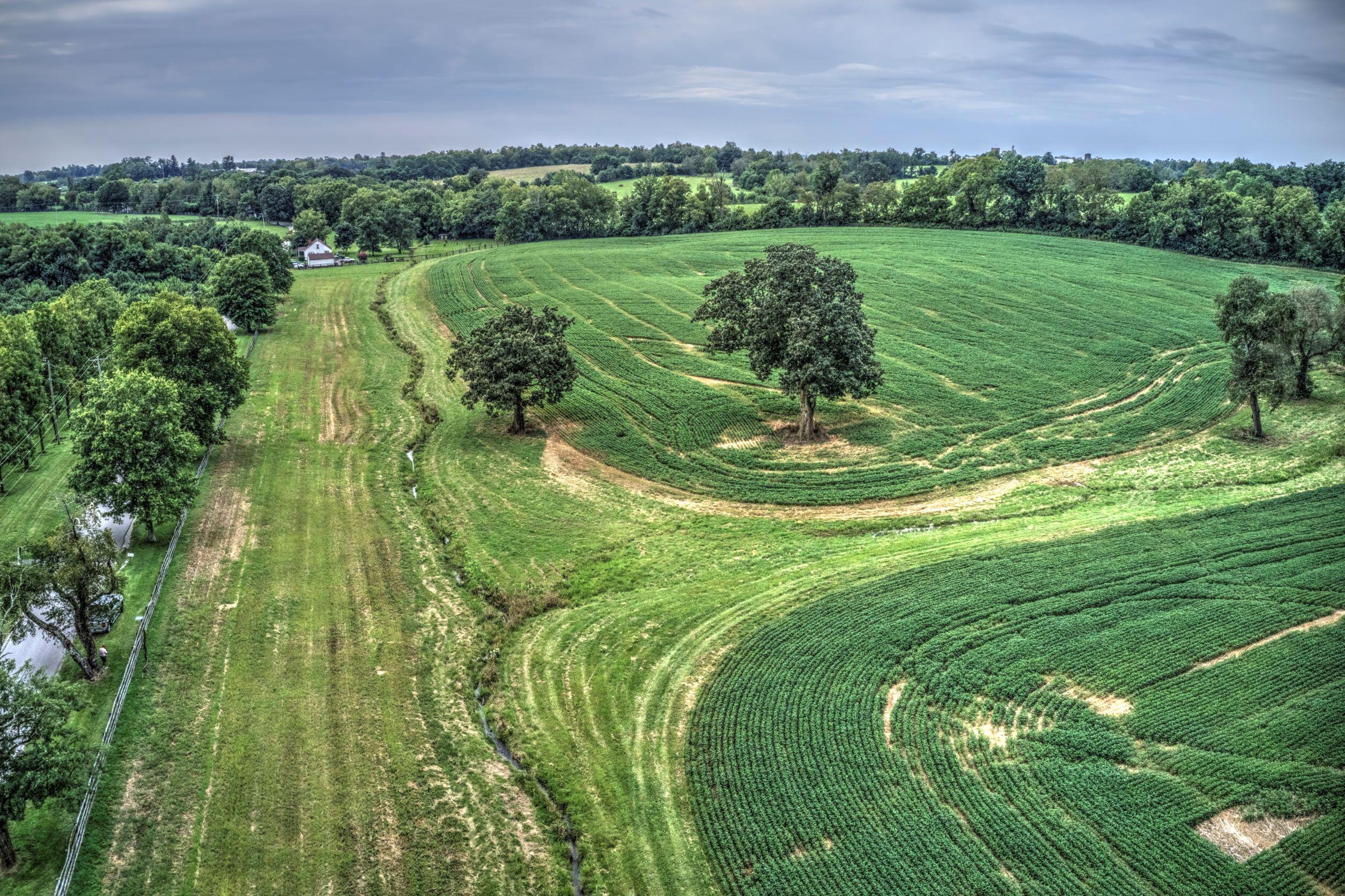 250 Redmon Road Paris, KY 40361 - Photo 12 of 22 DJI_0530 250 Redmon Road Paris resized
