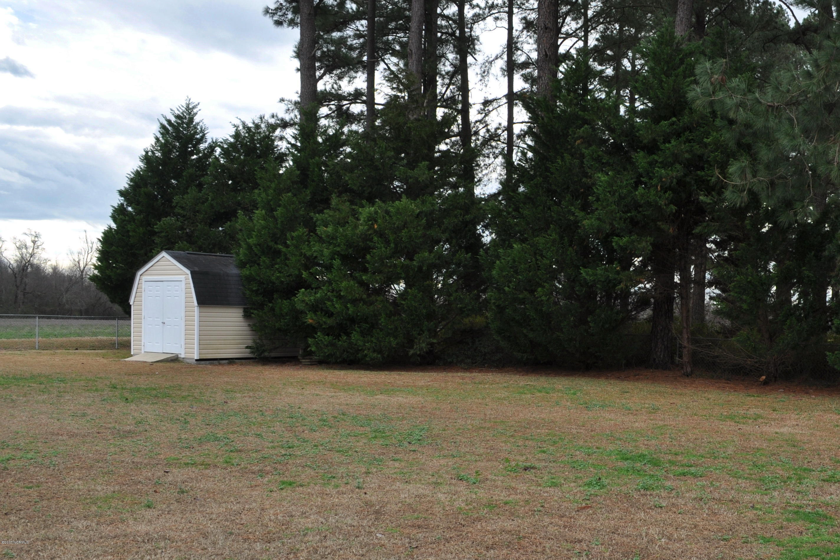 7516 Woodbridge Road Stantonsburg, NC 27883 - Photo 26 of 28 Backyard