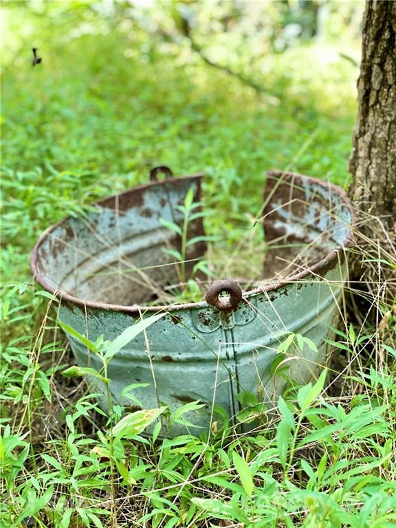 13.6 Acres Branch Road York, SC 29745 - Photo 1 of 31 Gallery Image 1