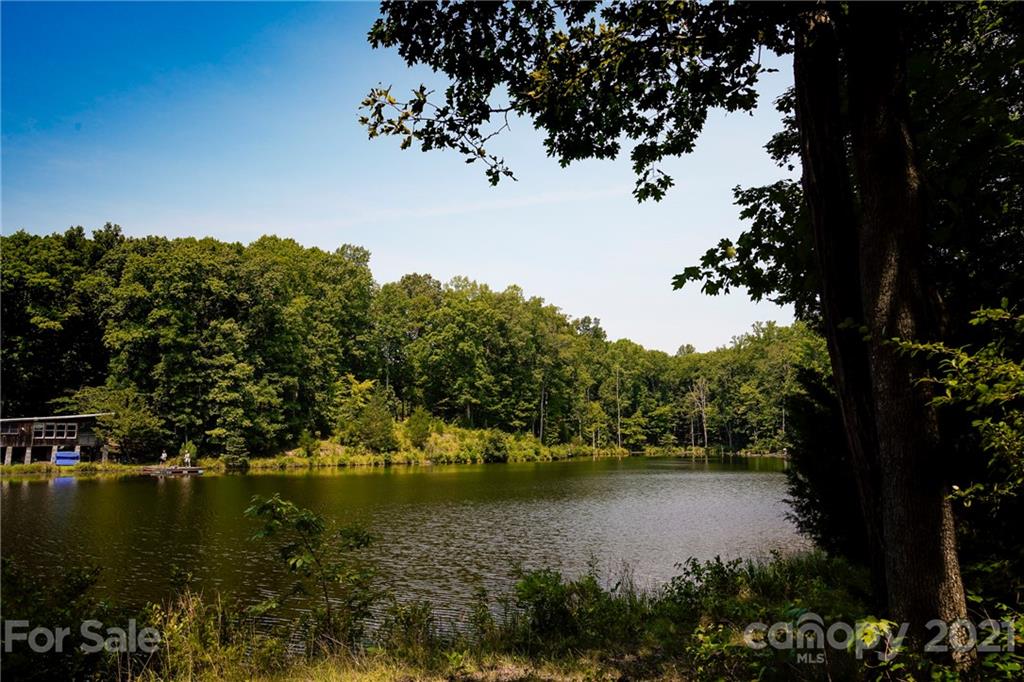 13.6 Acres Branch Road York, SC 29745 - Photo 2 of 31 Gallery Image 2