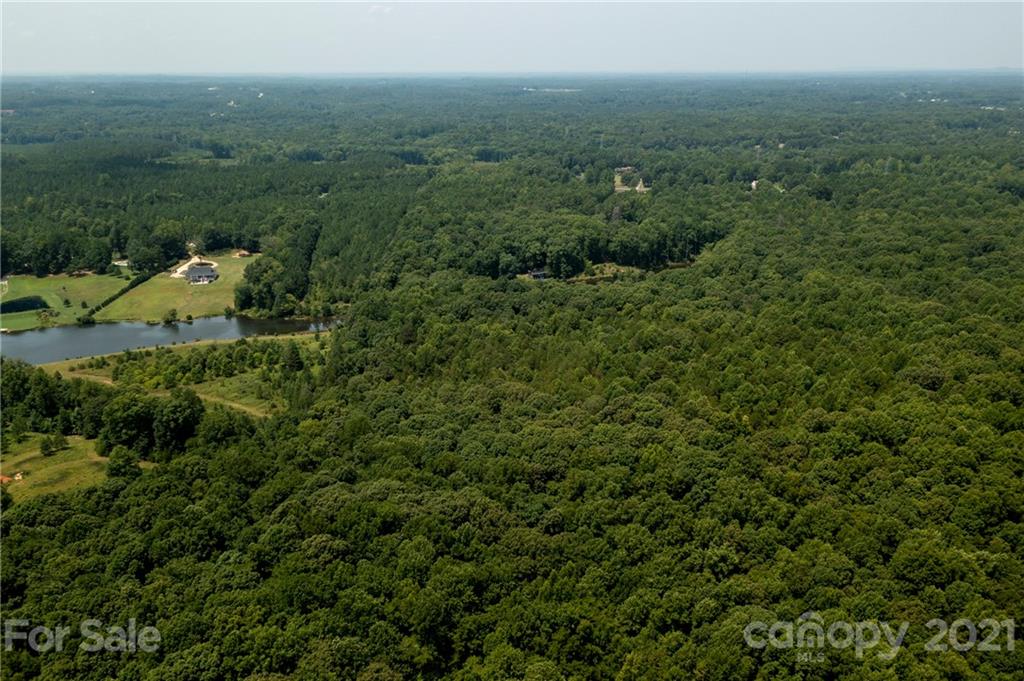 13.6 Acres Branch Road York, SC 29745 - Photo 17 of 31 Gallery Image 17